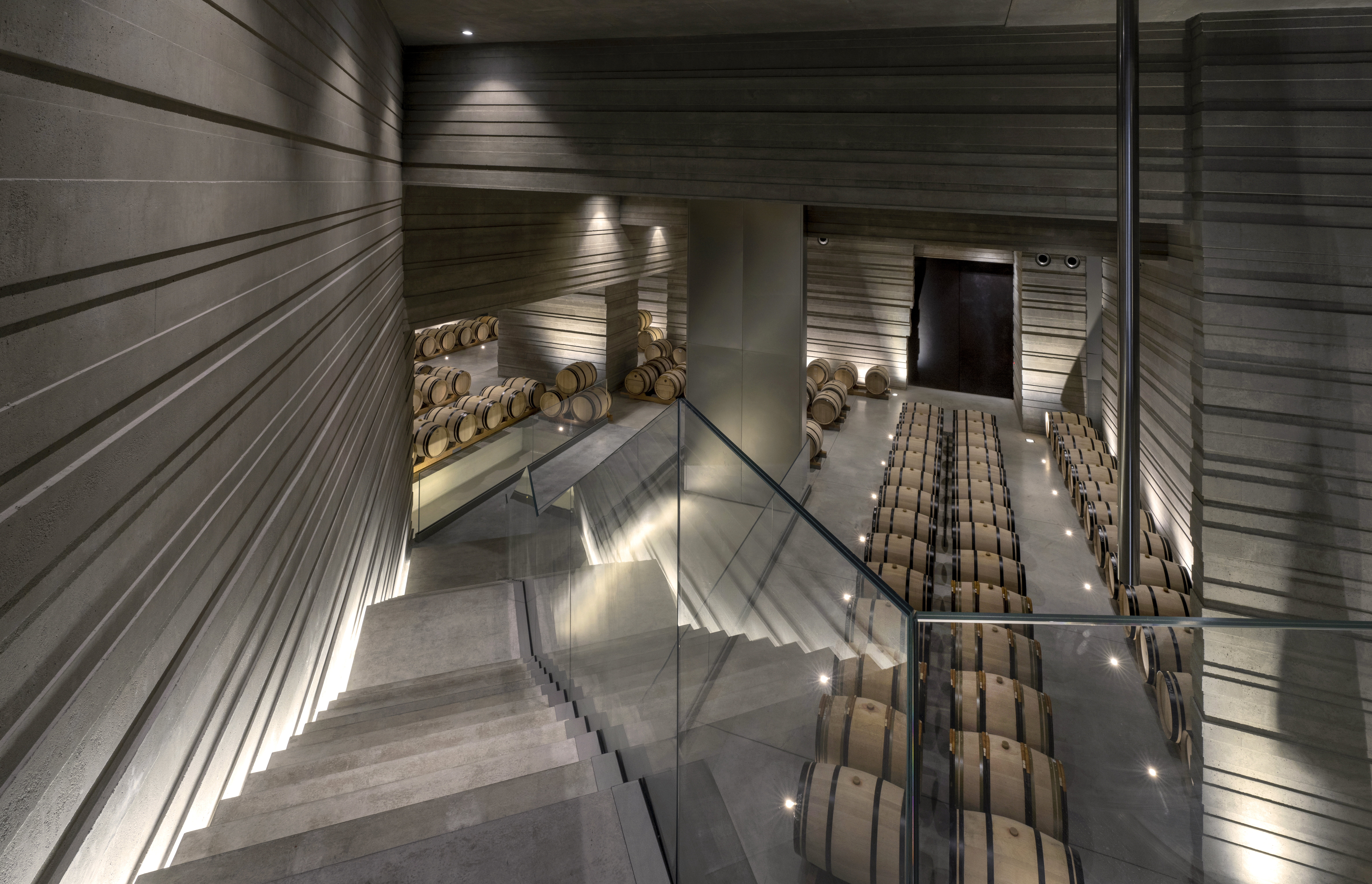 Masseto Weinberg bei Bolgheri